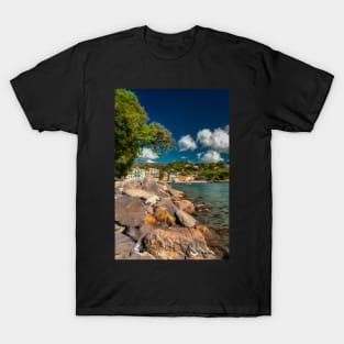 San Michele Di Pagana T-Shirt